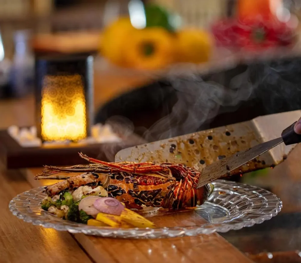 All Inclusive ++Premium