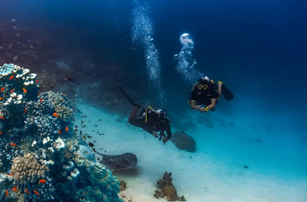 Experiências de ++Lazer Únicas